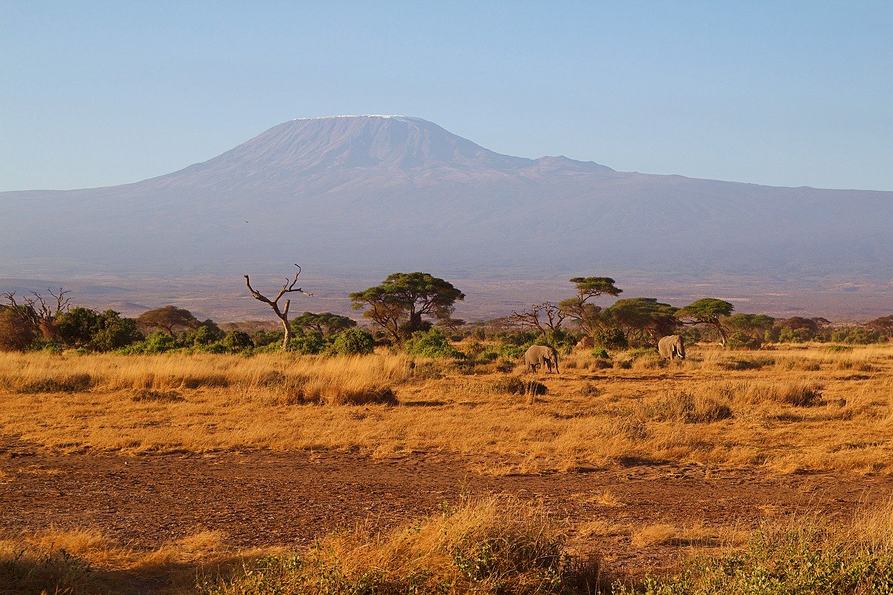 Kilimanjaro mýma očima